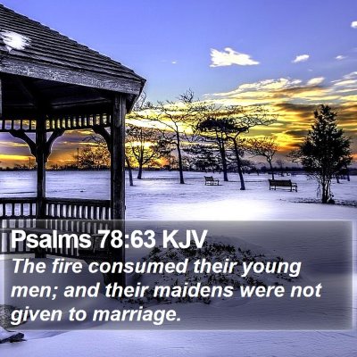 Psalms 78:63 KJV Bible Verse Image