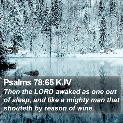 Psalms 78:65 KJV Bible Verse Image