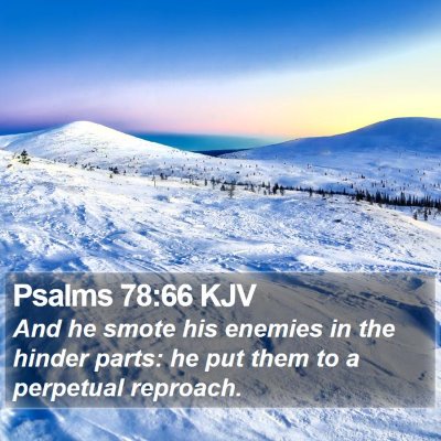 Psalms 78:66 KJV Bible Verse Image