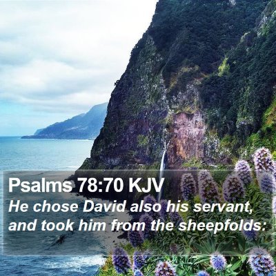 Psalms 78:70 KJV Bible Verse Image