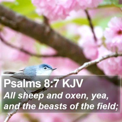 Psalms 8:7 KJV Bible Verse Image