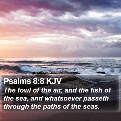 Psalms 8:8 KJV Bible Verse Image