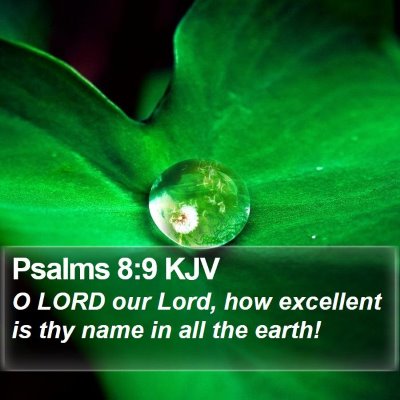 Psalms 8:9 KJV Bible Verse Image