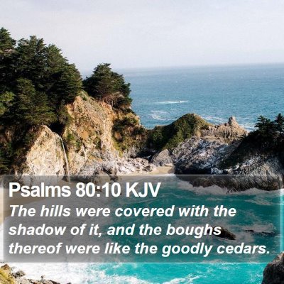 Psalms 80:10 KJV Bible Verse Image