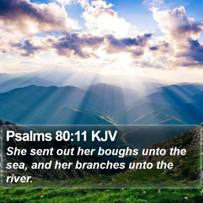 Psalms 80:11 KJV Bible Verse Image