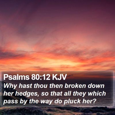 Psalms 80:12 KJV Bible Verse Image