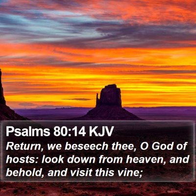 Psalms 80:14 KJV Bible Verse Image