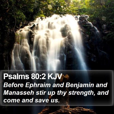 Psalms 80:2 KJV Bible Verse Image