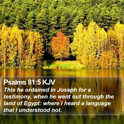 Psalms 81:5 KJV Bible Verse Image