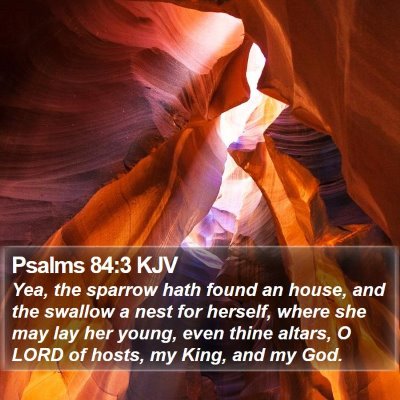 Psalms 84:3 KJV Bible Verse Image
