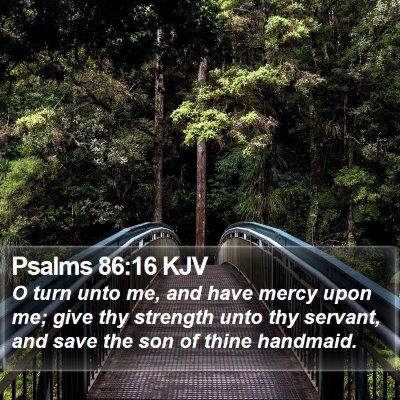 Psalms 86:16 KJV Bible Verse Image