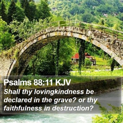Psalms 88:11 KJV Bible Verse Image
