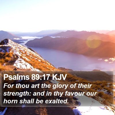Psalms 89:17 KJV Bible Verse Image