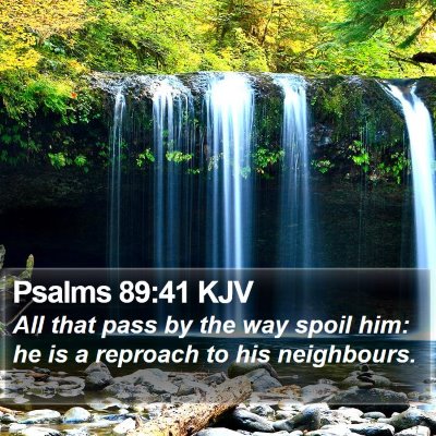 Psalms 89:41 KJV Bible Verse Image