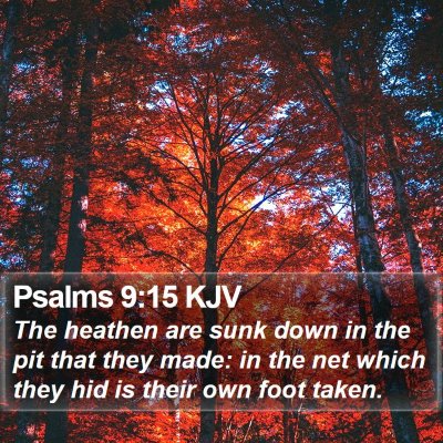 Psalms 9:15 KJV Bible Verse Image