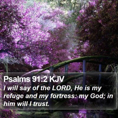 Psalms 91:2 KJV Bible Verse Image