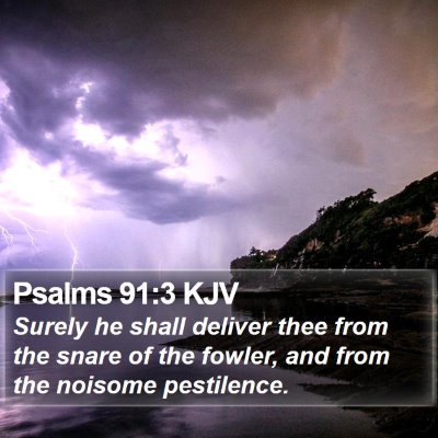 Psalms 91:3 KJV Bible Verse Image