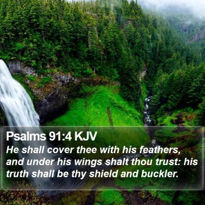 Psalms 91:4 KJV Bible Verse Image