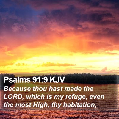 Psalms 91:9 KJV Bible Verse Image