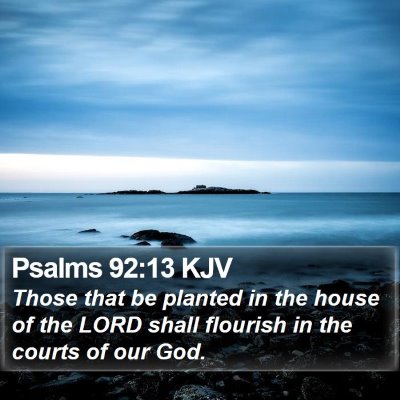 Psalms 92:13 KJV Bible Verse Image