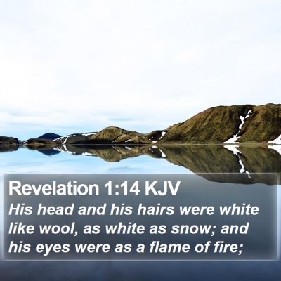 Revelation 1:14 KJV Bible Verse Image