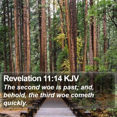 Revelation 11:14 KJV Bible Verse Image