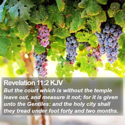 Revelation 11:2 KJV Bible Verse Image