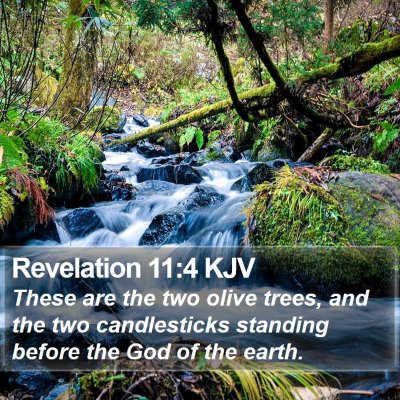 Revelation 11:4 KJV Bible Verse Image