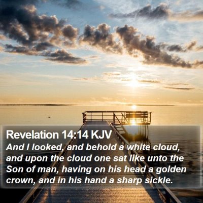 Revelation 14:14 KJV Bible Verse Image
