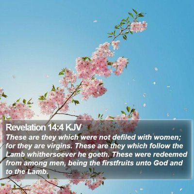 Revelation 14:4 KJV Bible Verse Image