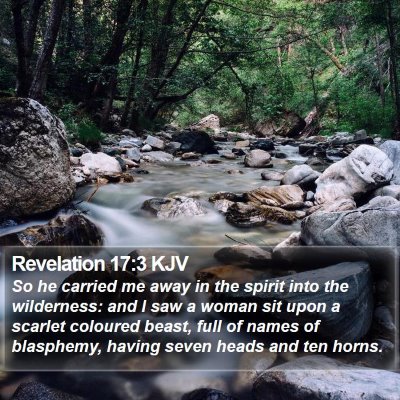 Revelation 17:3 KJV Bible Verse Image