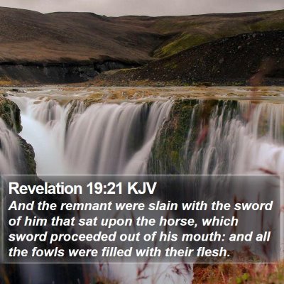Revelation 19:21 KJV Bible Verse Image