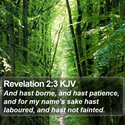 Revelation 2:3 KJV Bible Verse Image