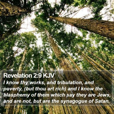 Revelation 2:9 KJV Bible Verse Image