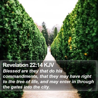 Revelation 22:14 KJV Bible Verse Image