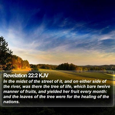 Revelation 22:2 KJV Bible Verse Image