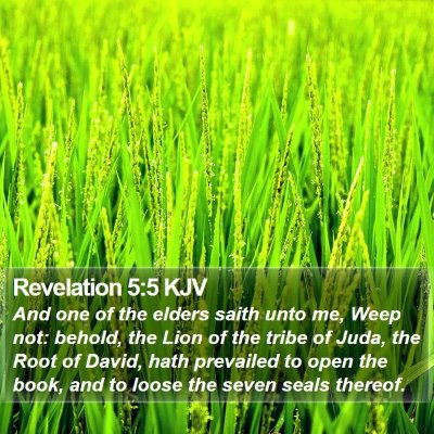 Revelation 5:5 KJV Bible Verse Image