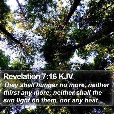 Revelation 7:16 KJV Bible Verse Image