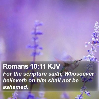 Romans 10:11 KJV Bible Verse Image