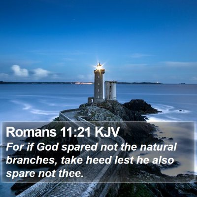 Romans 11:21 KJV Bible Verse Image