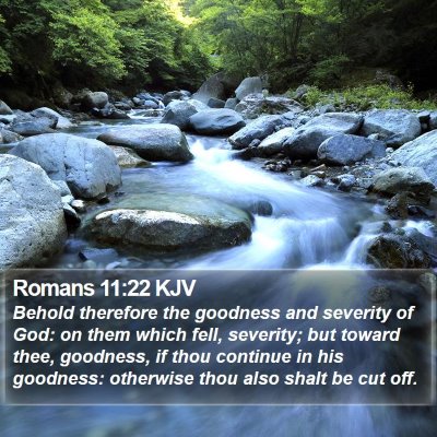 Romans 11:22 KJV Bible Verse Image