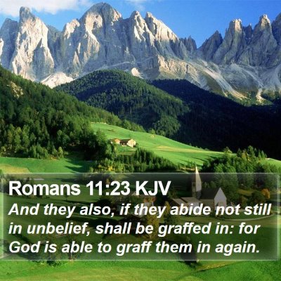Romans 11:23 KJV Bible Verse Image