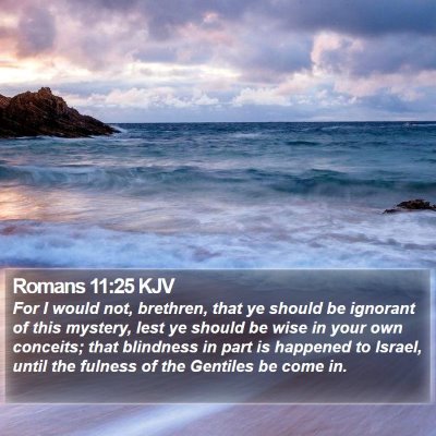 Romans 11:25 KJV Bible Verse Image