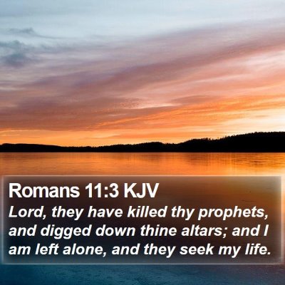 Romans 11:3 KJV Bible Verse Image