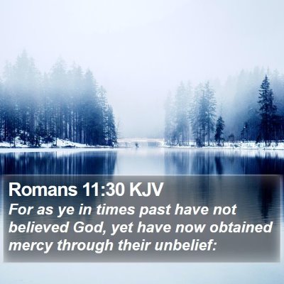 Romans 11:30 KJV Bible Verse Image
