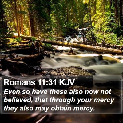 Romans 11:31 KJV Bible Verse Image