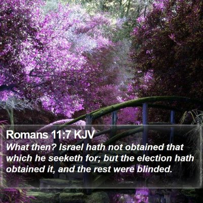 Romans 11:7 KJV Bible Verse Image