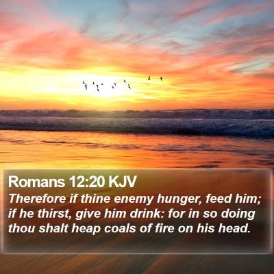 Romans 12:20 KJV Bible Verse Image