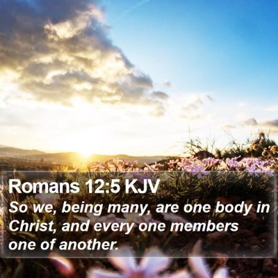 Romans 12:5 KJV Bible Verse Image