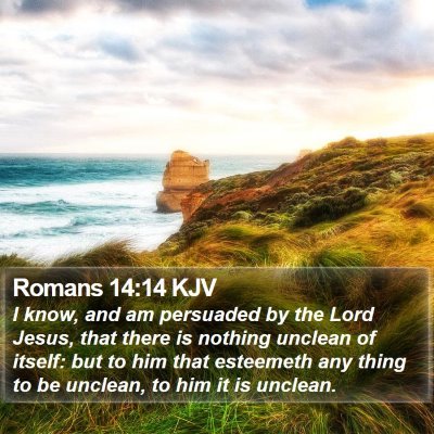 Romans 14:14 KJV Bible Verse Image